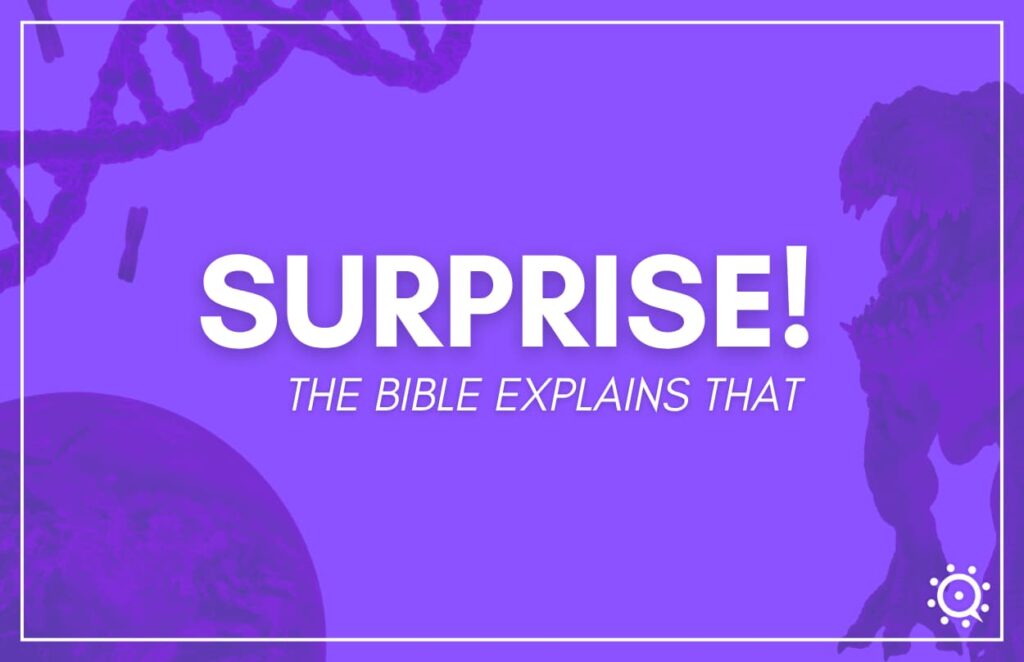 surprise the bible explaining that