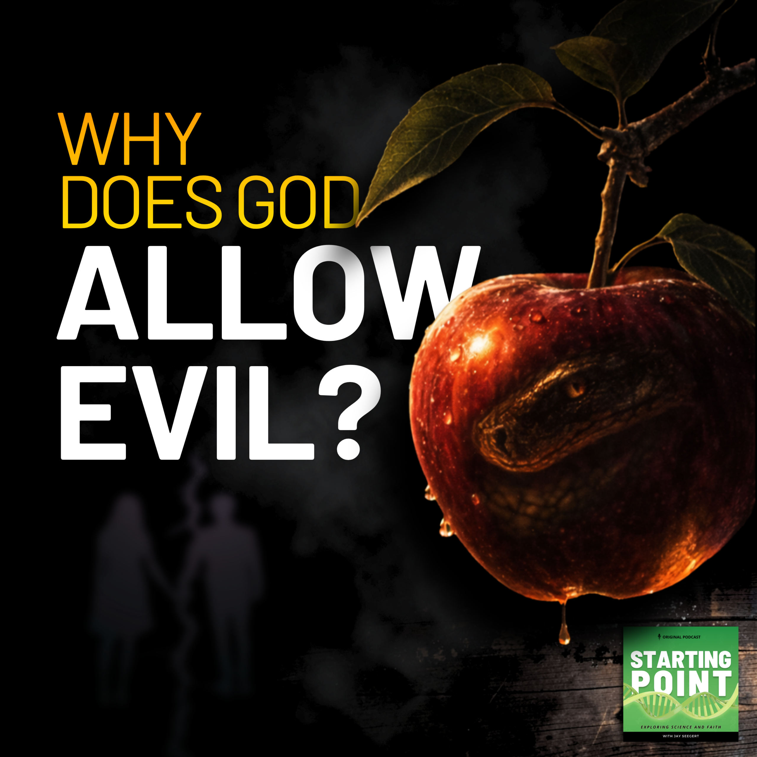 Why does God allow evil?